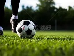 亚博体育,资讯,亚博体育登录入口,亚博体育登录入口,亚博体育平台,亚博体育注册网址,亚博体育app,亚博体育官网,亚博体育网站,亚博体育网页版